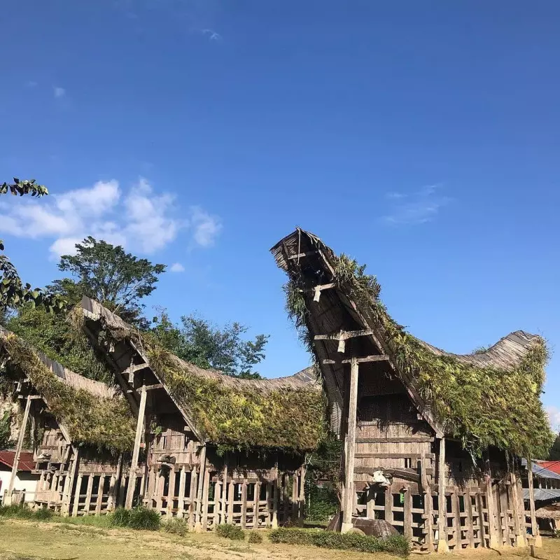 Rumah Tongkonan Toraja